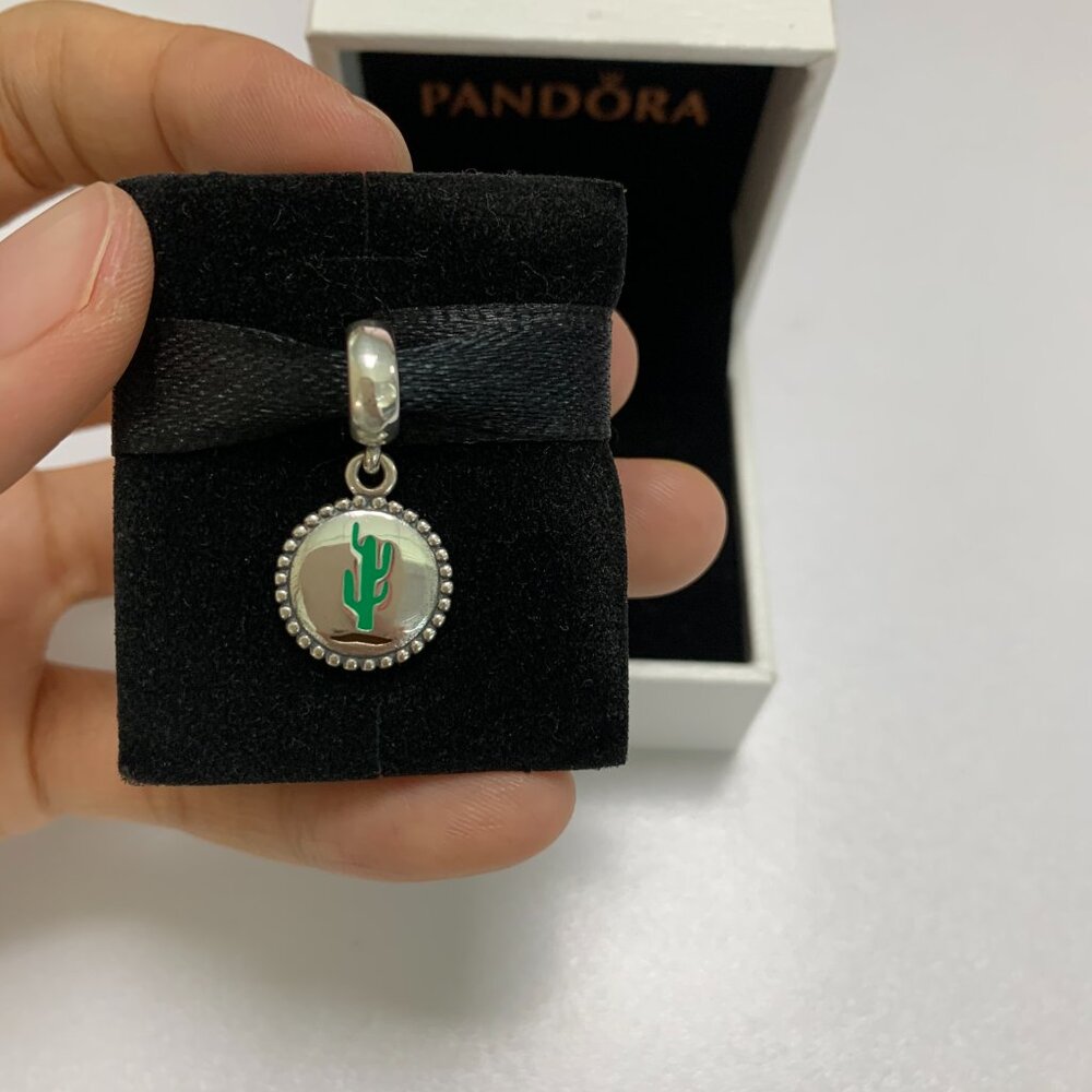 Pandora Cactus Arizona Charm